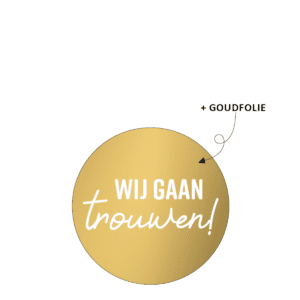 Stickers<BR>Wij gaan trouwen<BR>10 stuks