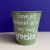 groene bloempot juf